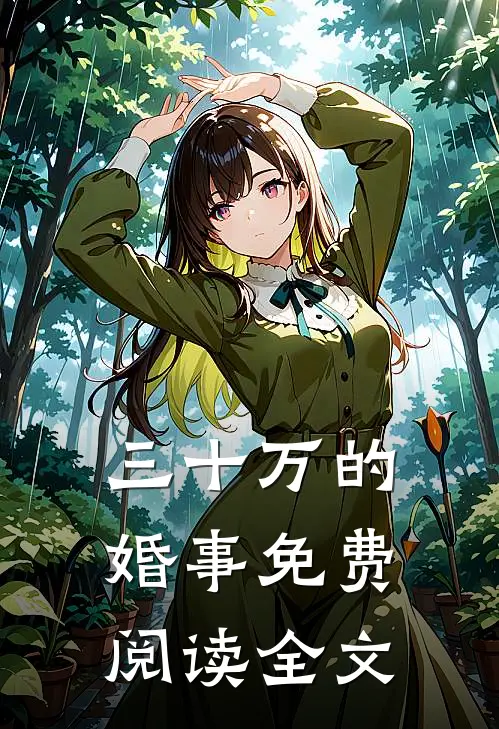 三十万的婚事免费阅读全文
