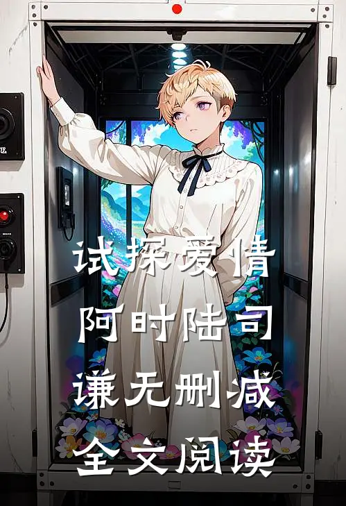 试探爱情阿时陆司谦无删减全文阅读