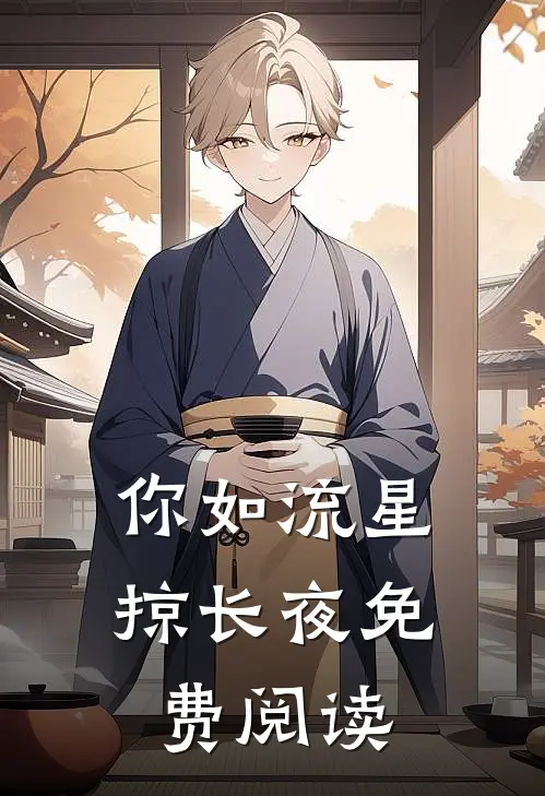 你如流星掠长夜免费阅读
