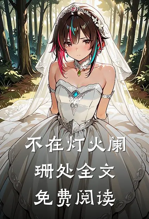 不在灯火阑珊处全文免费阅读