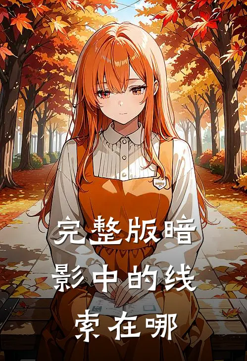 完整版暗影中的线索在哪
