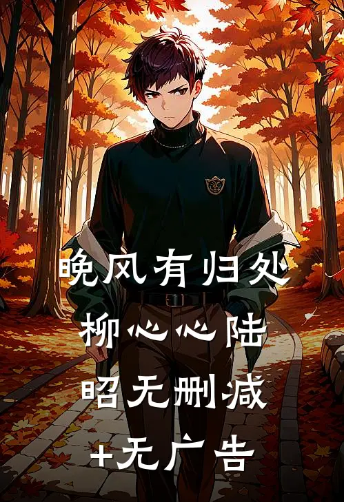 晚风有归处柳心心陆昭无删减+无广告