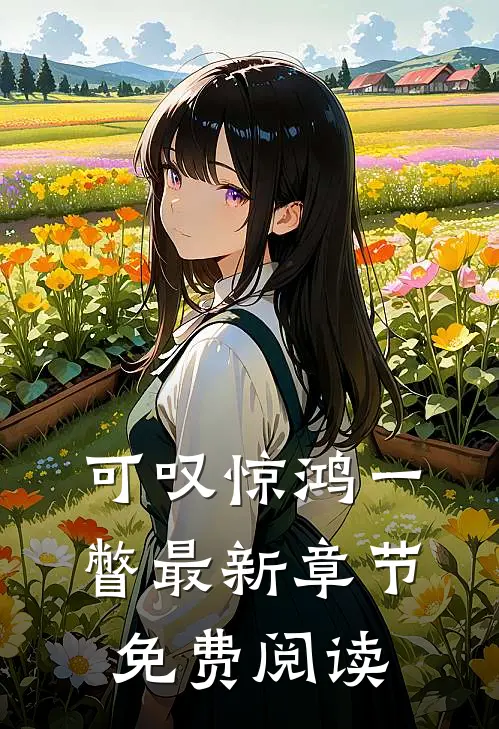 可叹惊鸿一瞥最新章节免费阅读