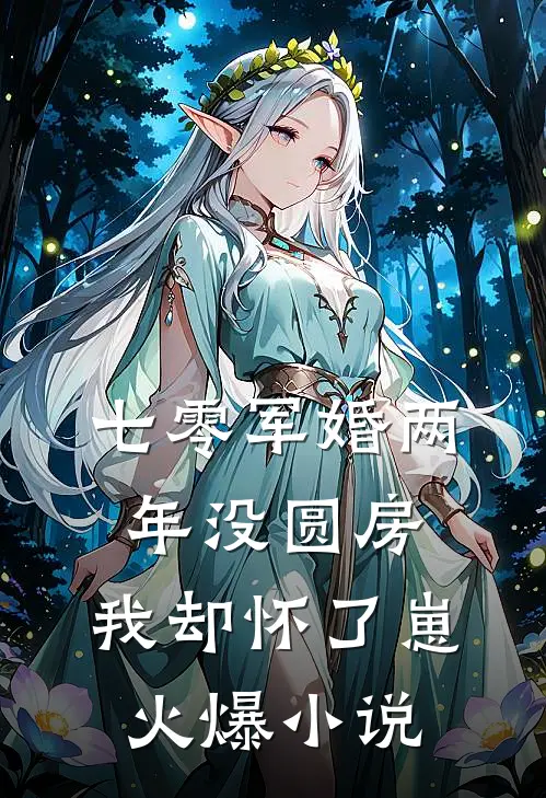 七零军婚两年没圆房，我却怀了崽火爆小说