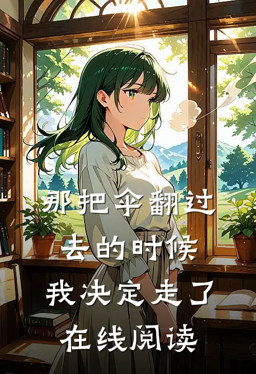 那把伞翻过去的时候，我决定走了在线阅读