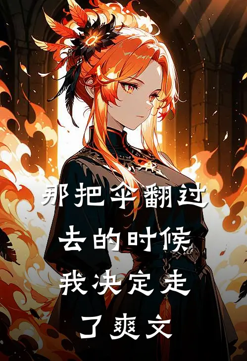 那把伞翻过去的时候，我决定走了爽文