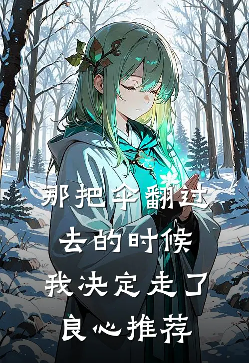 那把伞翻过去的时候，我决定走了良心推荐
