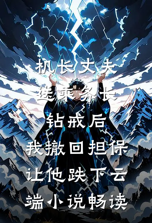 机长丈夫送乘务长钻戒后，我撤回担保让他跌下云端小说畅读