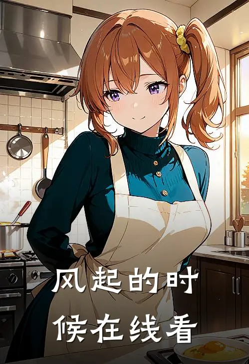 风起的时候在线看