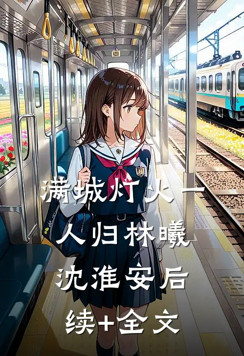 满城灯火一人归林曦沈淮安后续+全文