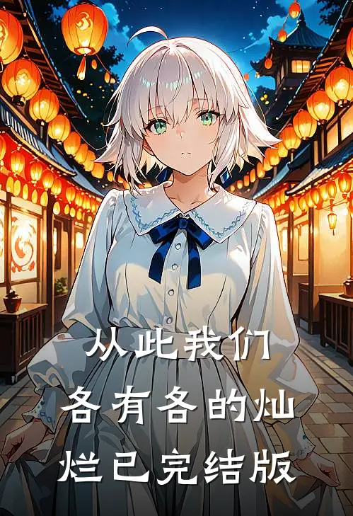 从此我们，各有各的灿烂已完结版