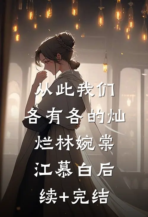 从此我们，各有各的灿烂林婉棠江慕白后续+完结