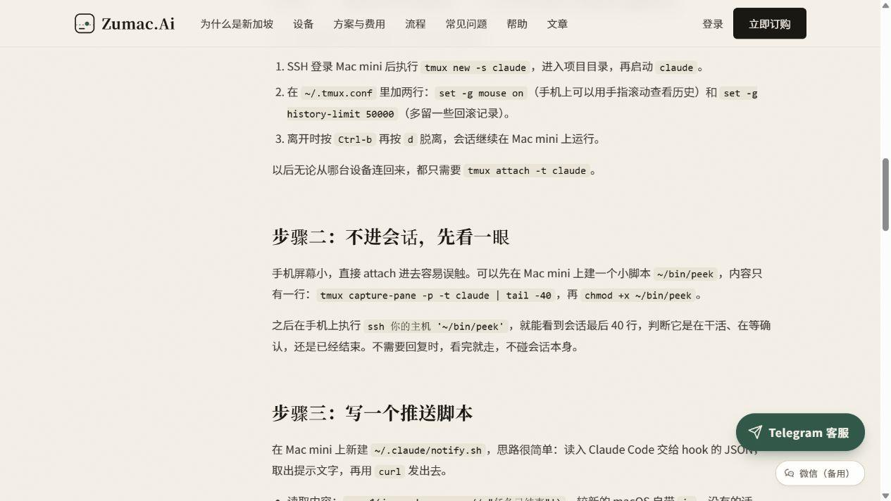 官网关于 tmux 会话和 peek 查看方式的说明