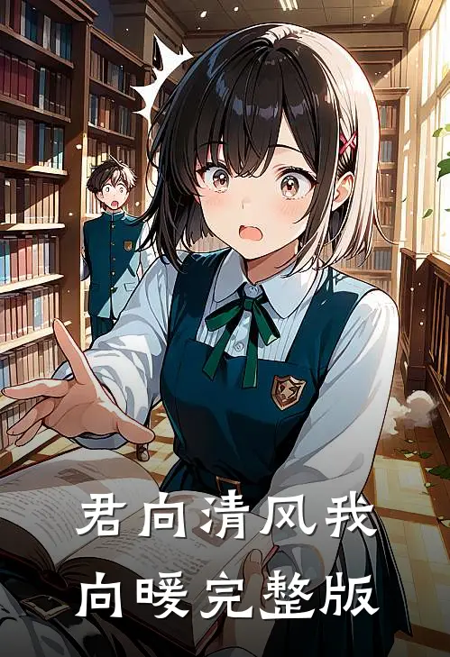 君向清风我向暖完整版