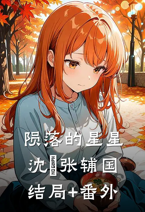 陨落的星星沈璟张辅国结局+番外