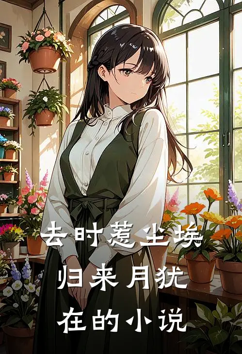 去时惹尘埃，归来月犹在的小说