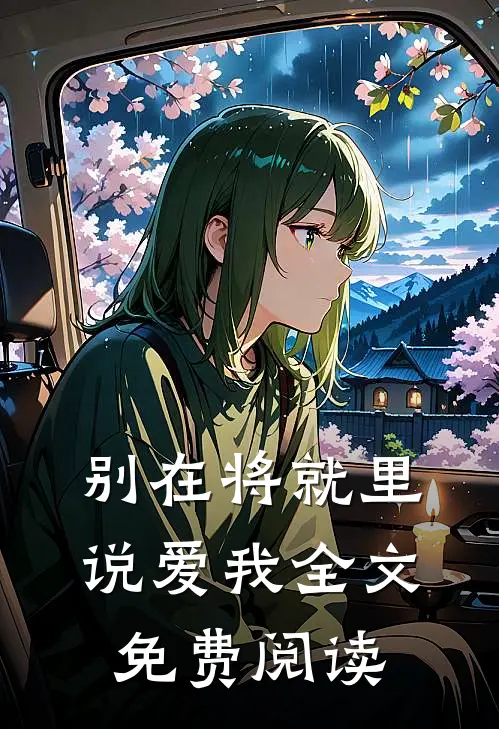 别在将就里说爱我全文免费阅读
