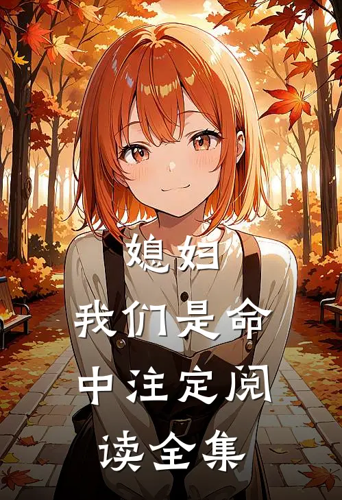媳妇，我们是命中注定阅读全集