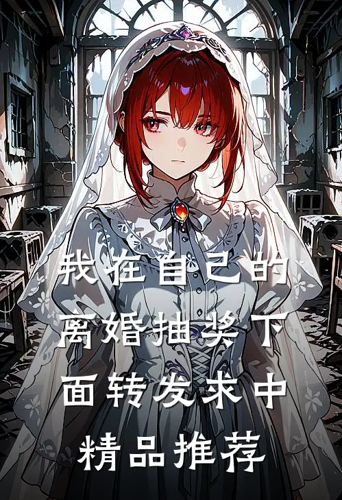 我在自己的离婚抽奖下面转发求中精品推荐