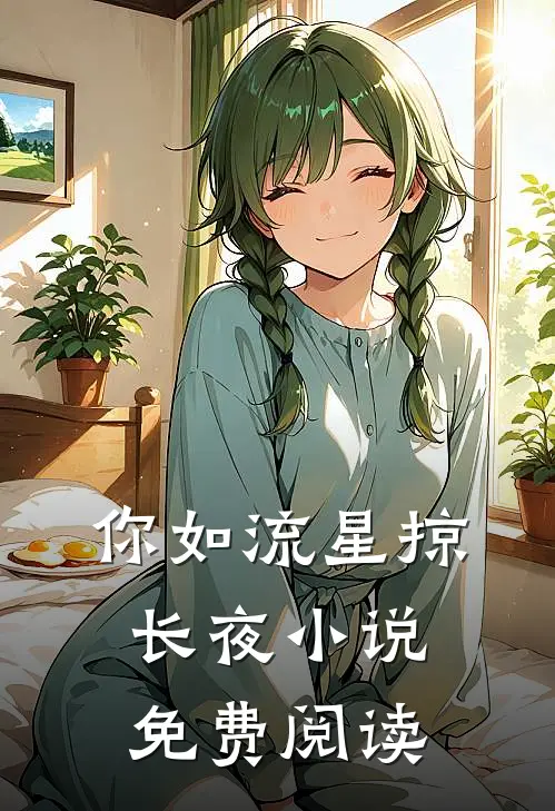 你如流星掠长夜小说免费阅读