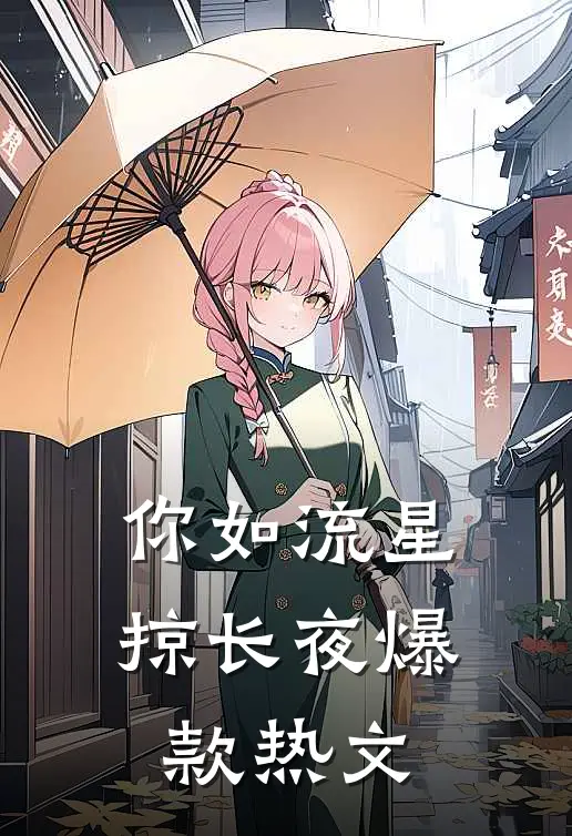 你如流星掠长夜爆款热文