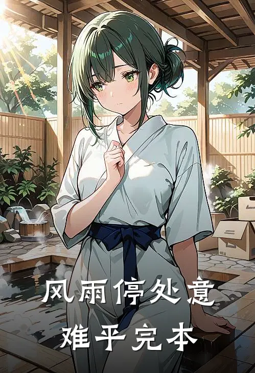 风雨停处意难平完本