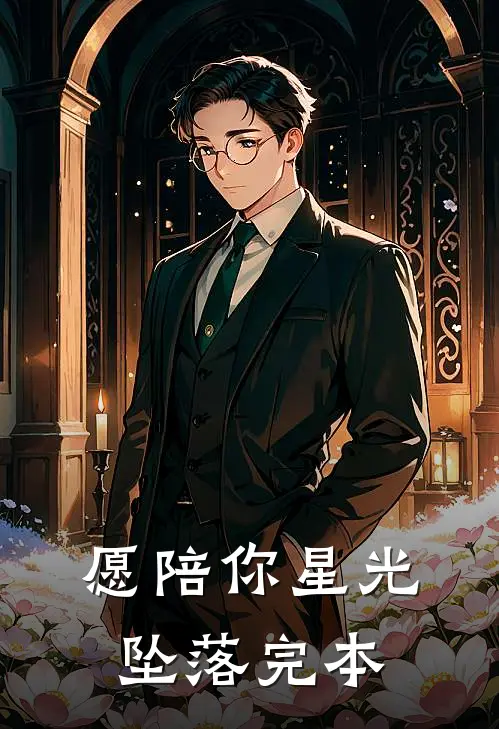 愿陪你星光坠落完本
