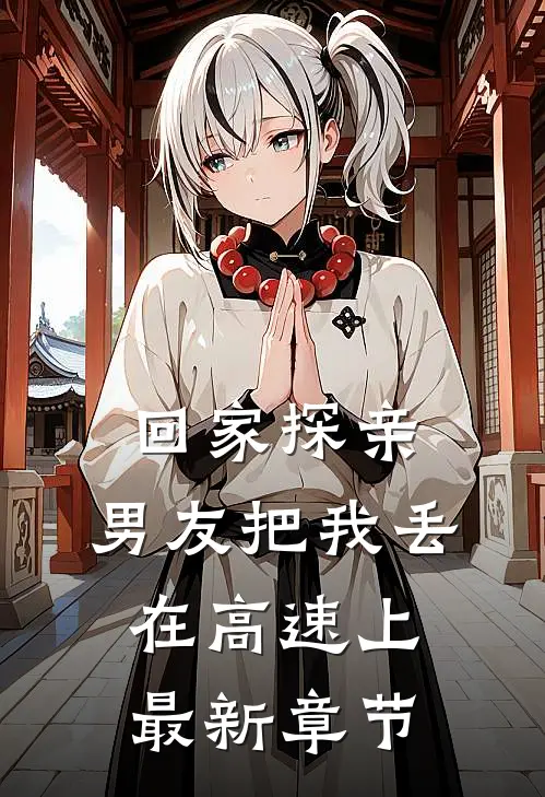 回家探亲，男友把我丢在高速上最新章节