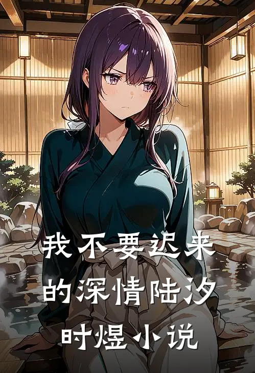我不要迟来的深情陆汐时煜小说