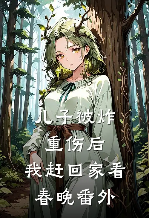 儿子被炸重伤后，我赶回家看春晚 番外