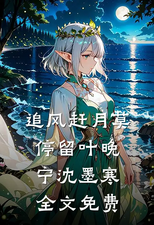 追风赶月莫停留叶晚宁沈墨寒全文免费