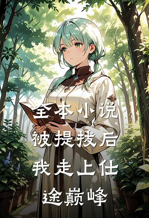 全本小说被提拔后，我走上仕途巅峰