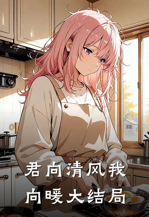 君向清风我向暖大结局